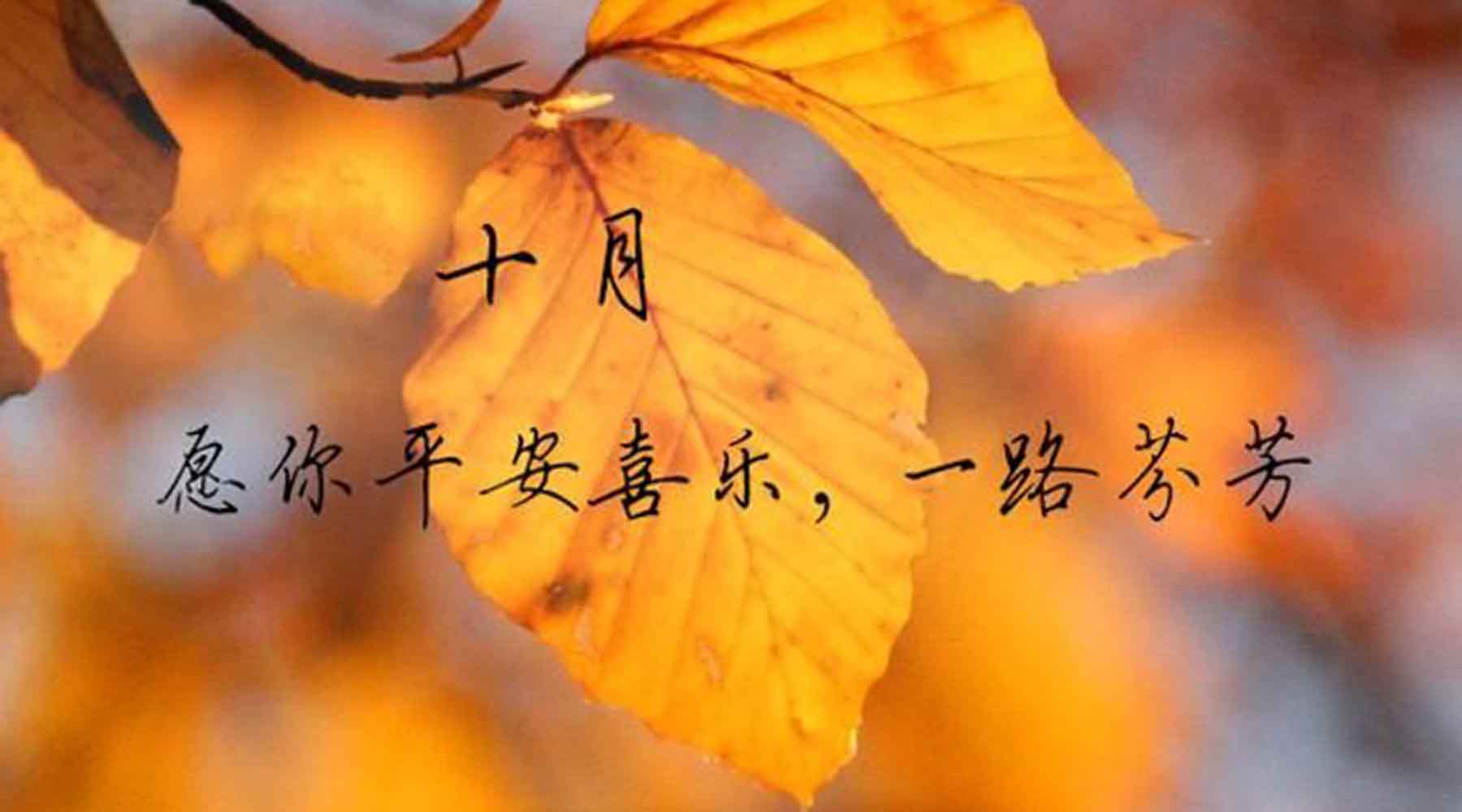 十月，致重要的你