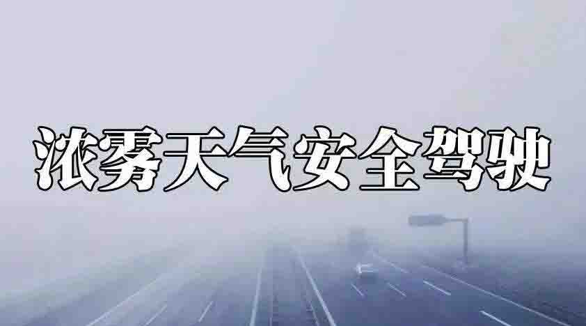 霧天行車注意事項一定要知道！